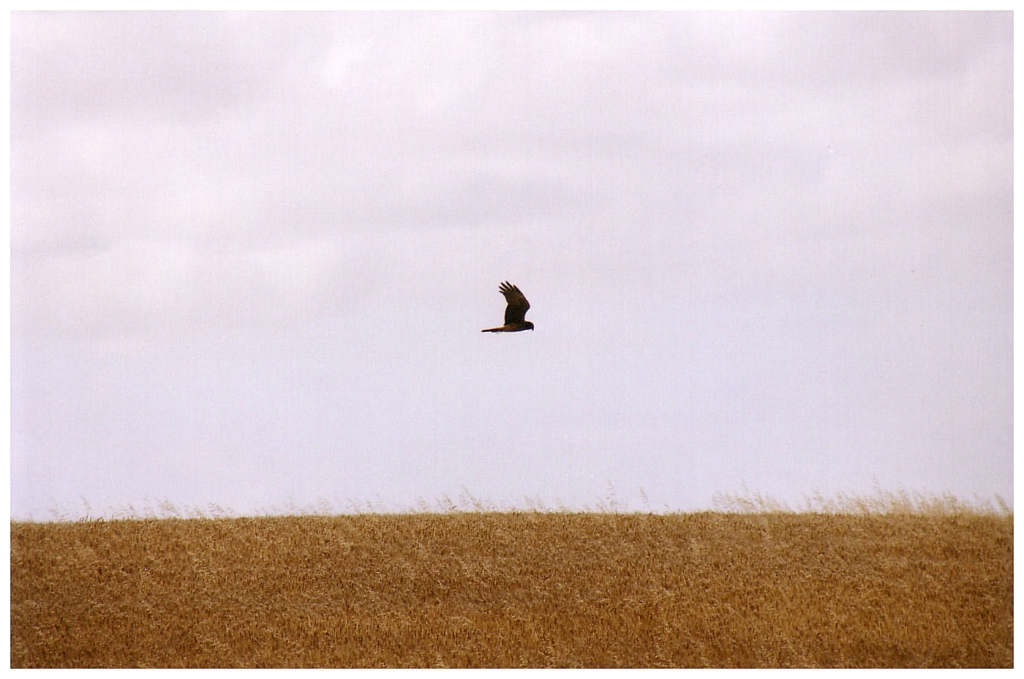 04 - South Australia (6).jpg